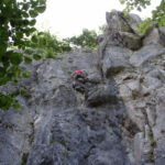 Forge du Boulou 24 06 2018