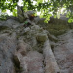Forge du Boulou 24 06 2018
