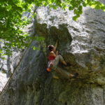 Forge du Boulou 24 06 2018