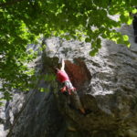 Forge du Boulou 24 06 2018